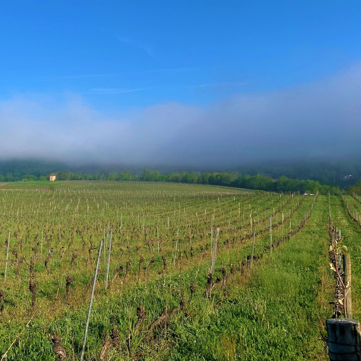 Les Plaines Rosées Malbec