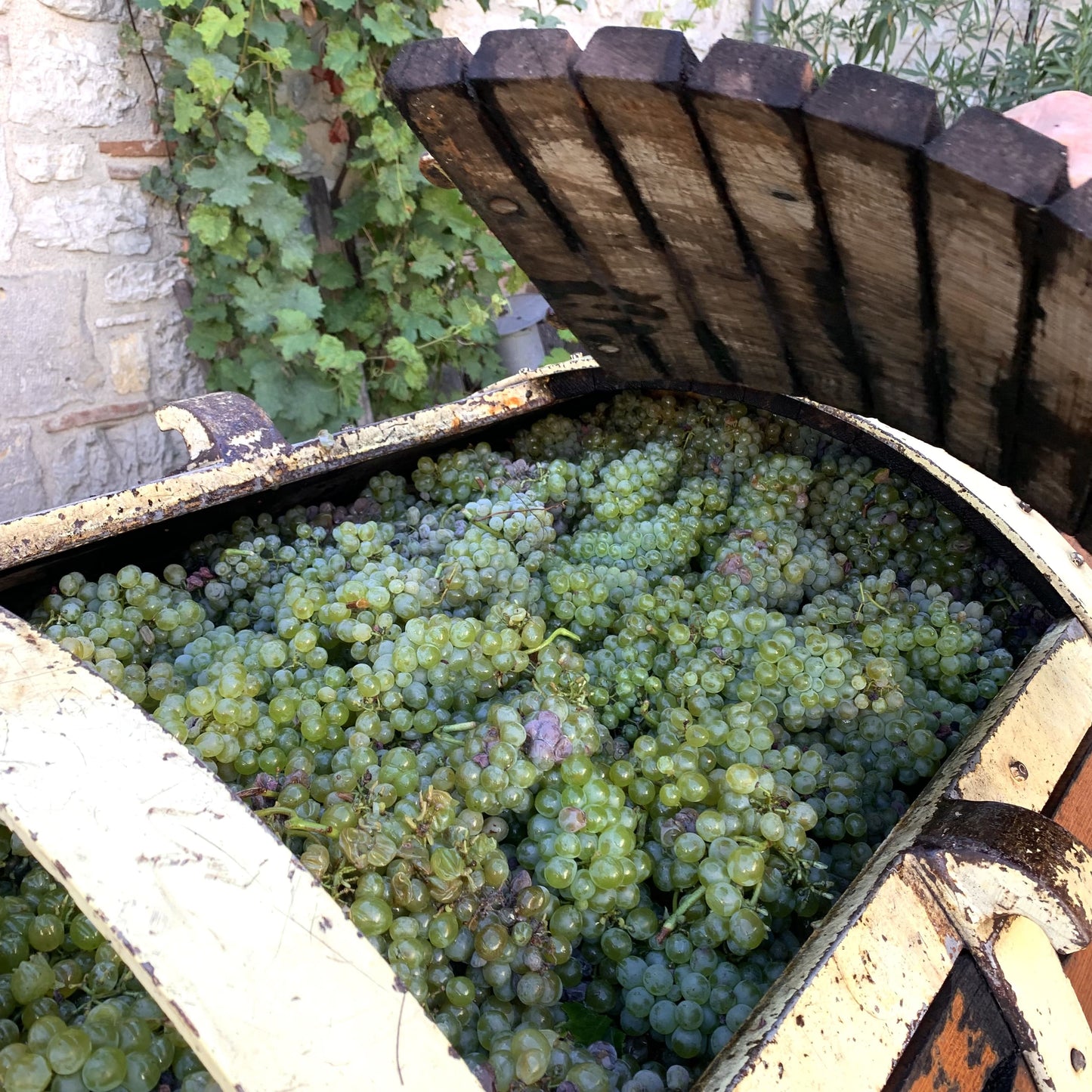 Camp Blanc Chardonnay Sec