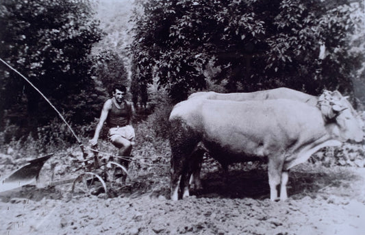L'histoire du Domaine Lafon
