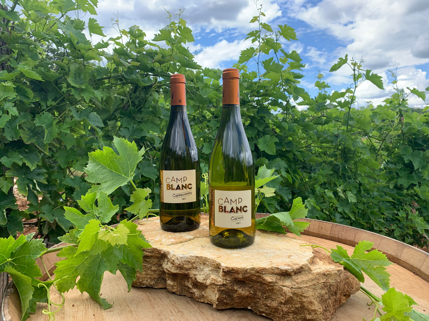 Vin de Cahors sans Sulfites Malbec - Domaine Lafon – Domaine Lafon