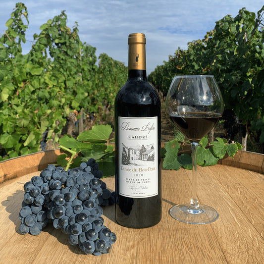 Bois-Petit Malbec