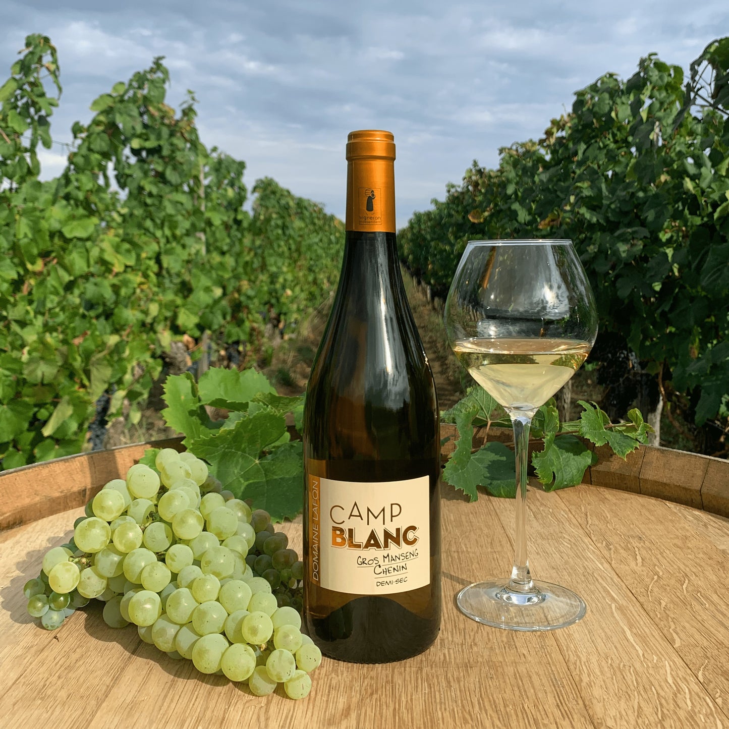 Camp Blanc Gros-Manseng, Chenin | Demi-Sec