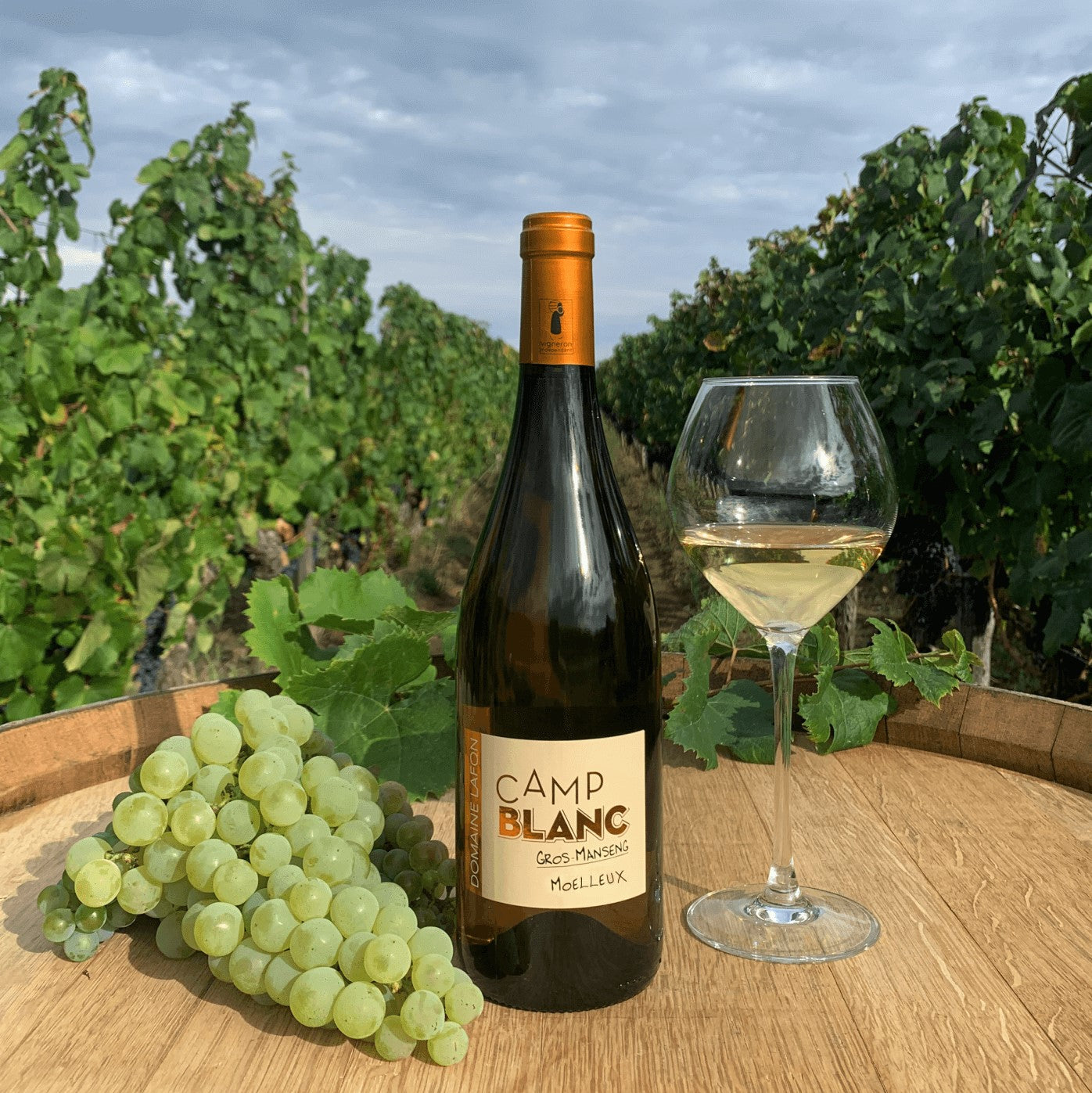 Camp Blanc Gros-Manseng Moelleux