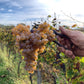 Crépuscule Vin Orange