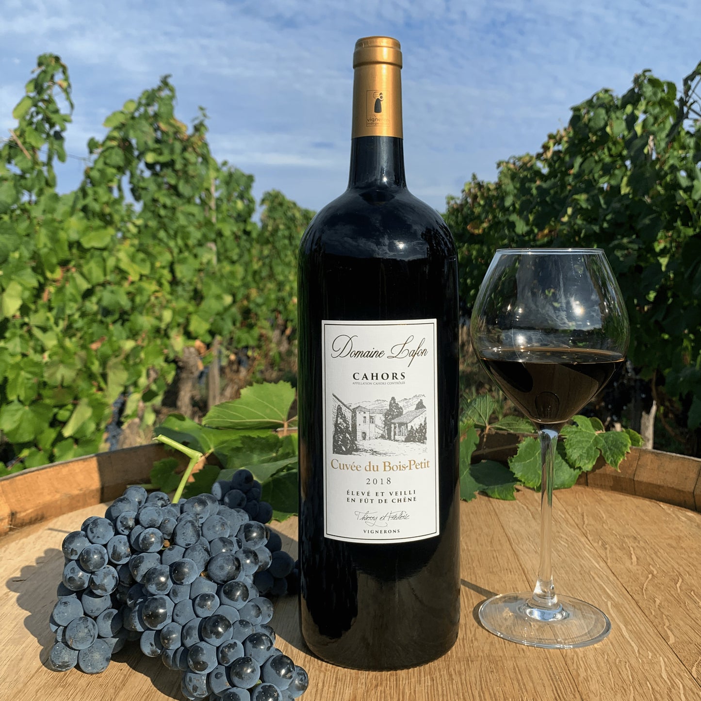 Bois-Petit Malbec