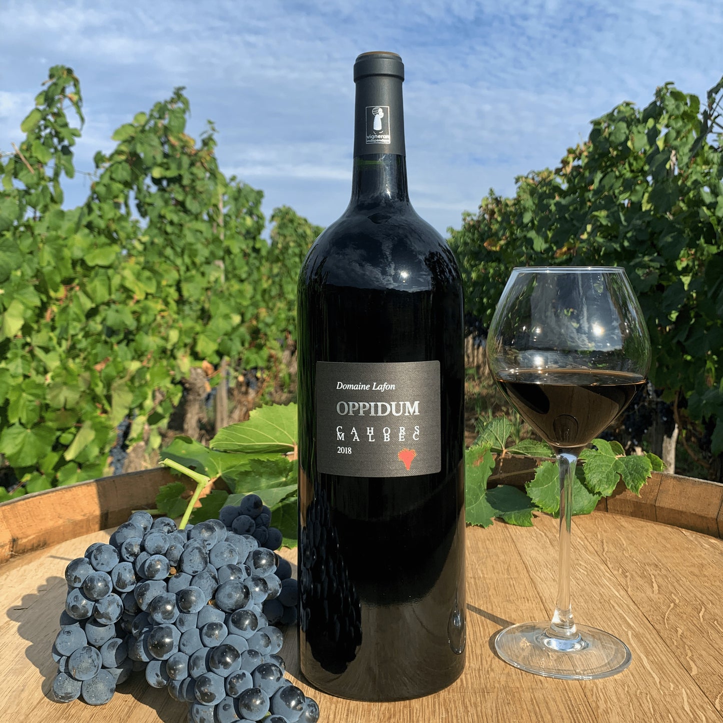 Oppidum Malbec