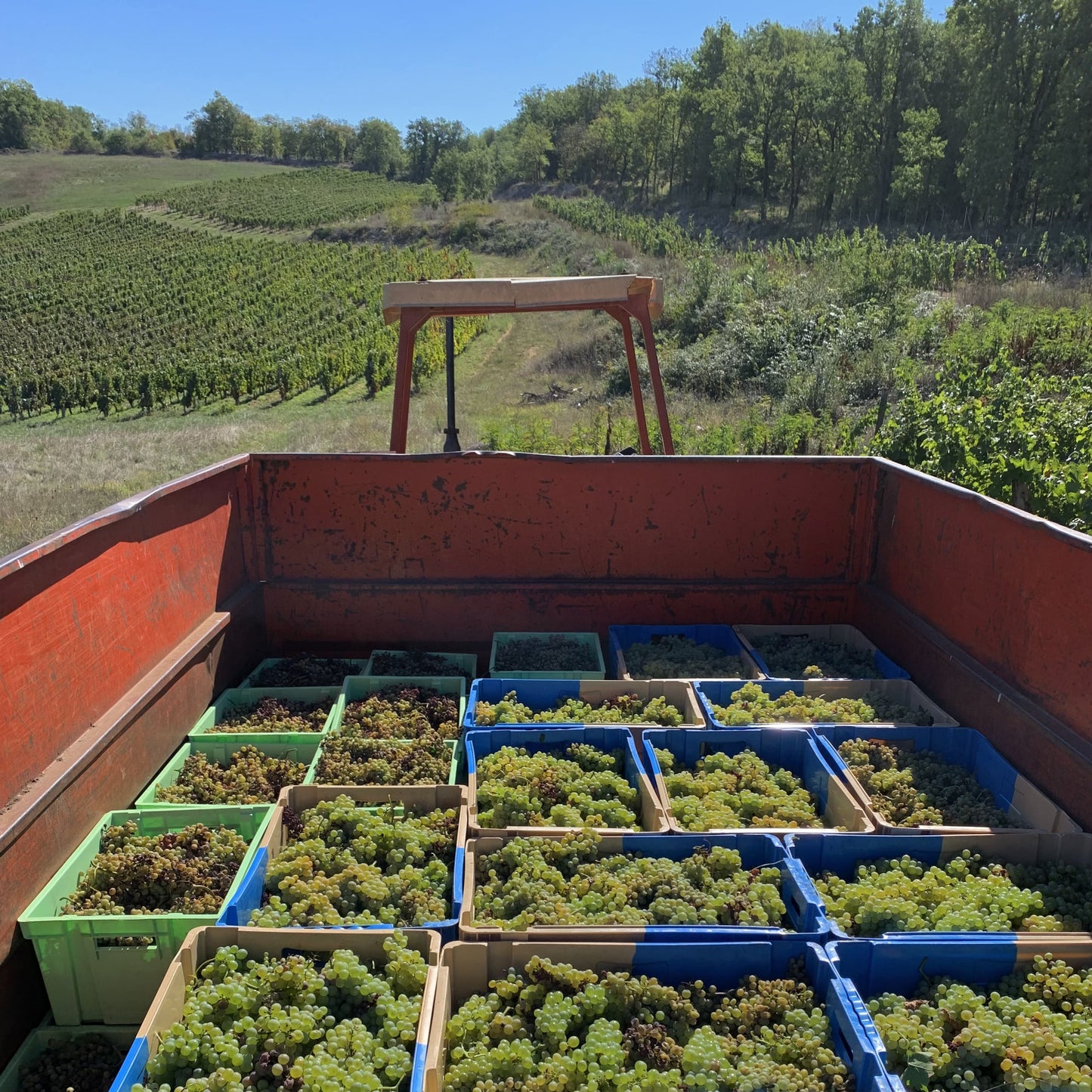 Camp Blanc Chenin Sec